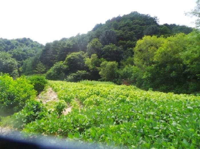 물건 사진 29
