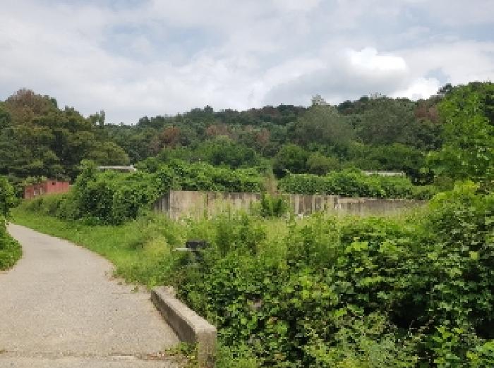 물건 사진 12