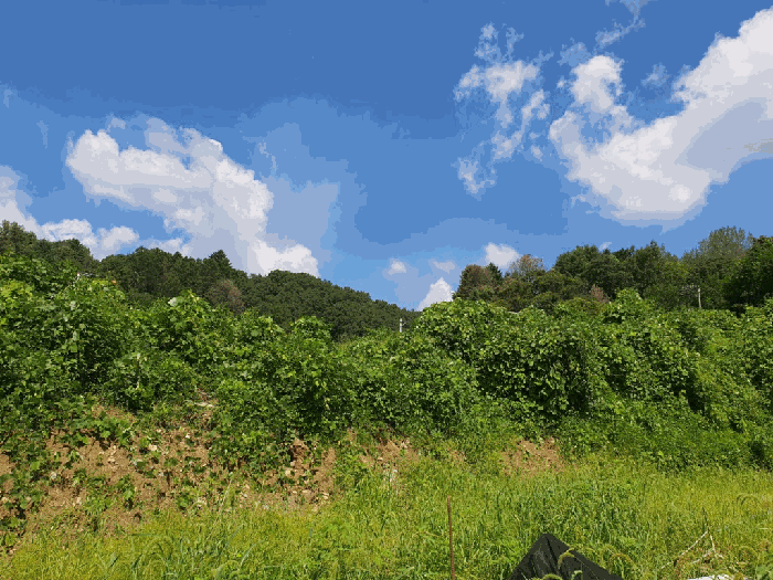 물건 사진 26