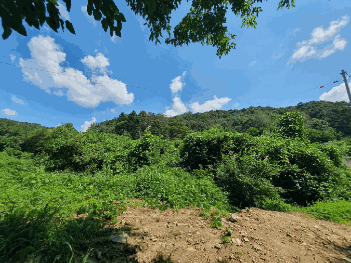 물건 사진 27