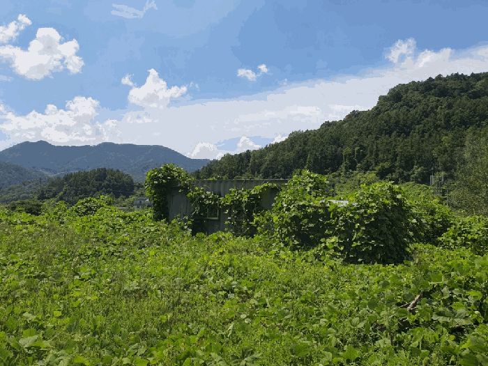 물건 사진 36