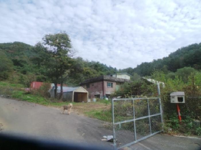 물건 사진 14
