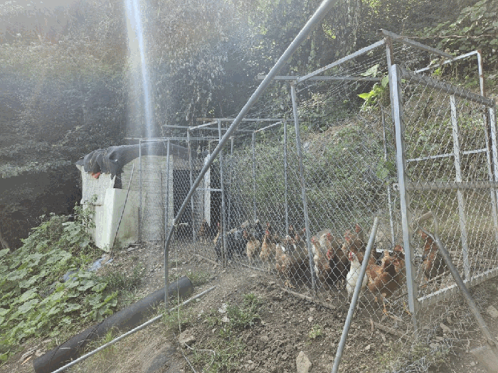 물건 사진 37