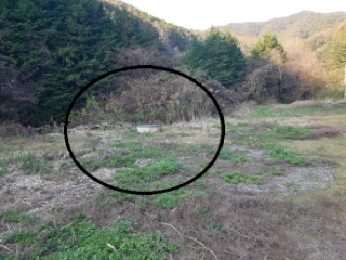 물건 사진 7