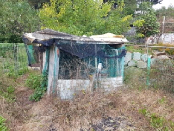 물건 사진 12
