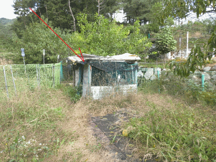 물건 사진 21