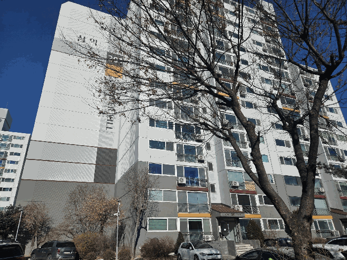 물건 사진 5
