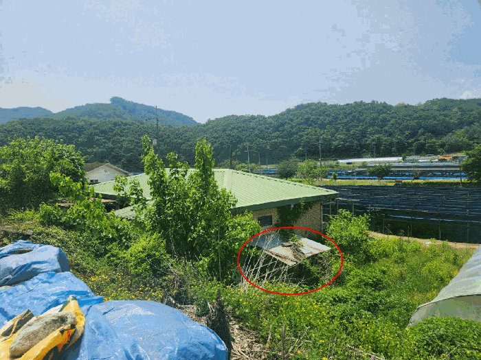 물건 사진 11