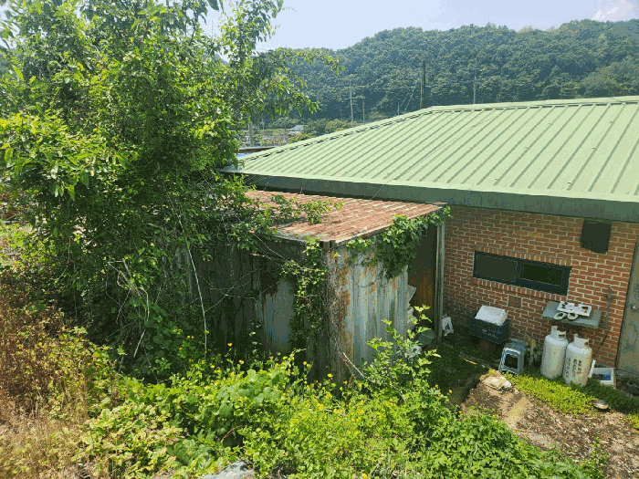 물건 사진 13