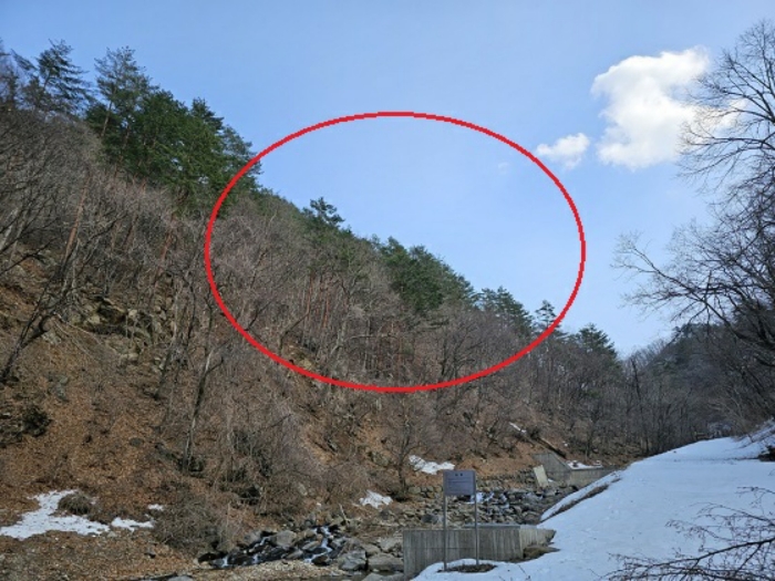 물건 사진 13
