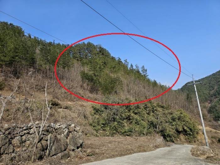 물건 사진 19