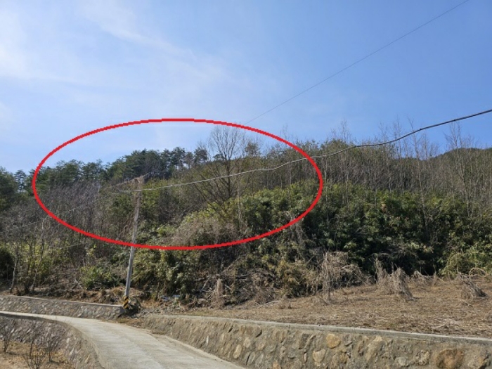 물건 사진 20