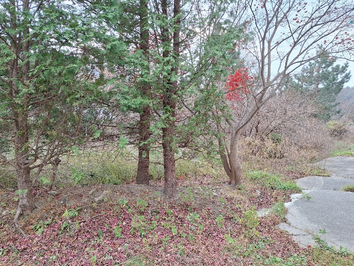 물건 사진 16