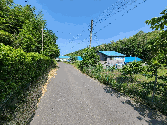 물건 사진 17