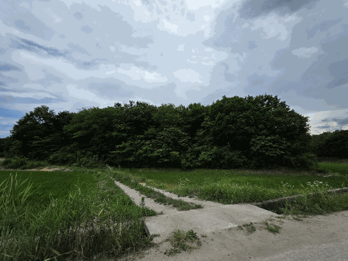 물건 사진 27