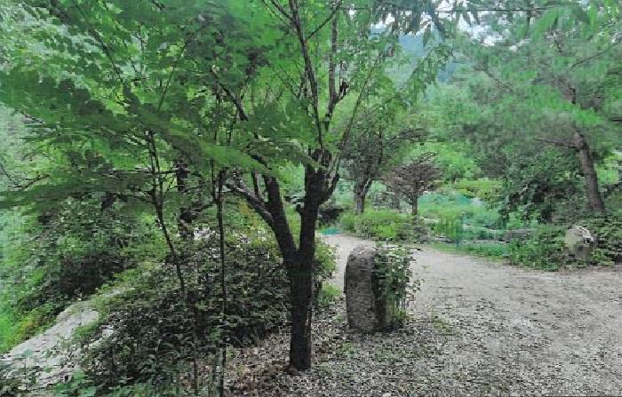 물건 사진 18