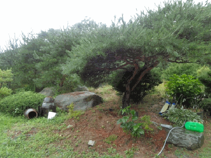 물건 사진 14
