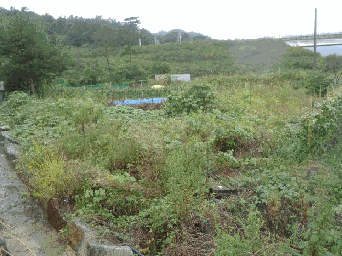 물건 사진 19
