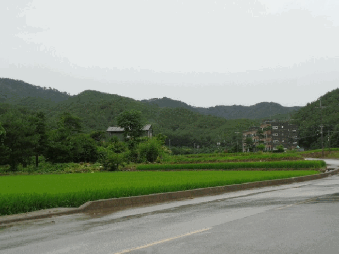 물건 사진 20