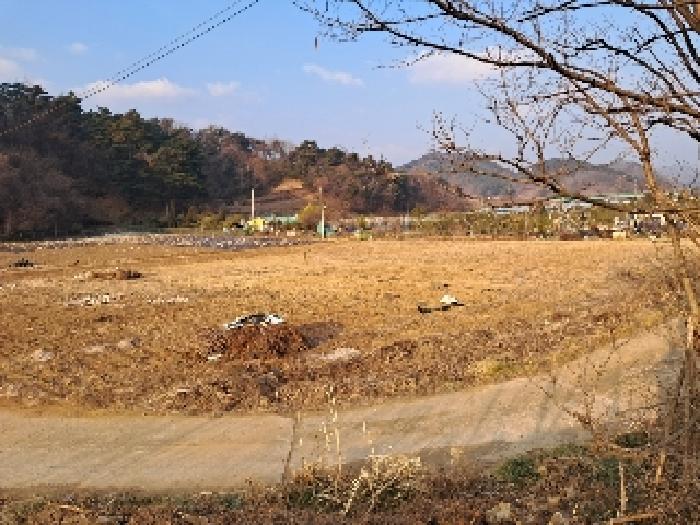물건 사진 1