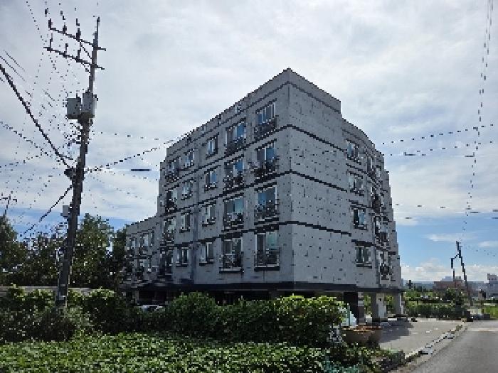 물건 사진 1