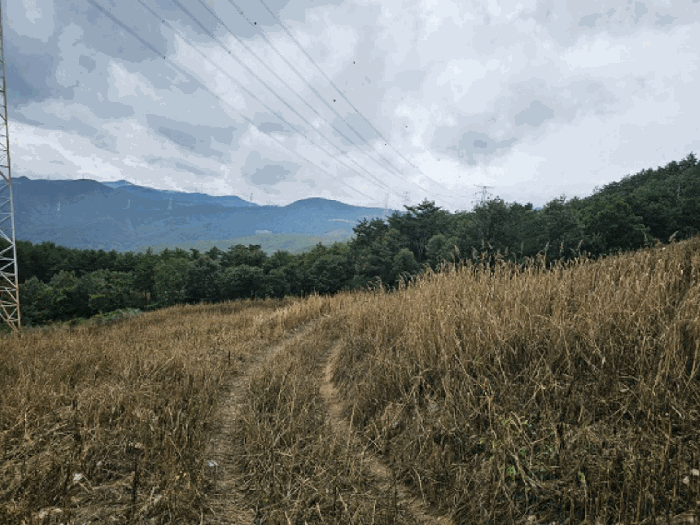 물건 사진 7