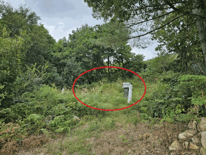 물건 사진 9