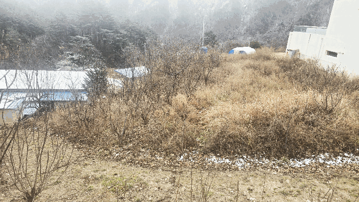 물건 사진 16