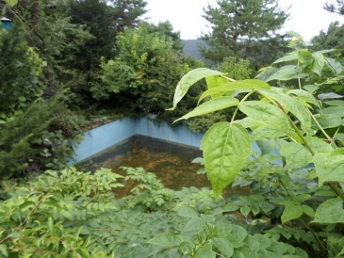 물건 사진 15