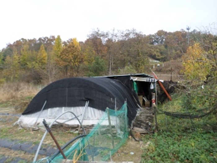물건 사진 13