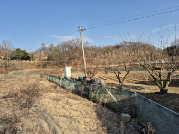 물건 사진 32
