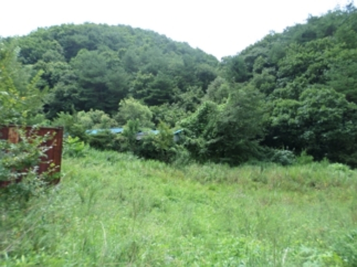 물건 사진 14