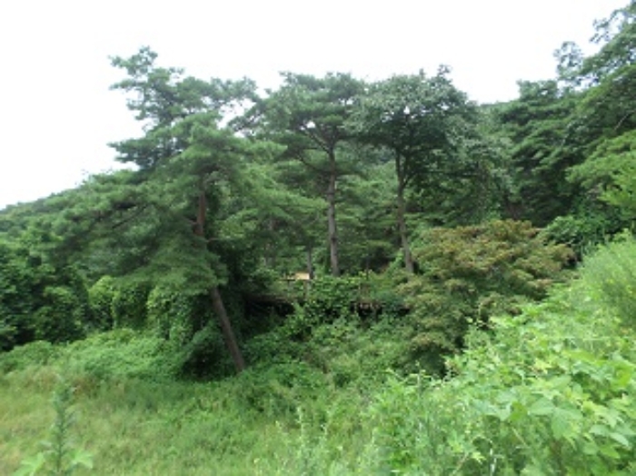 물건 사진 27