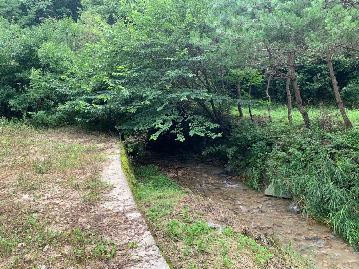 물건 사진 58