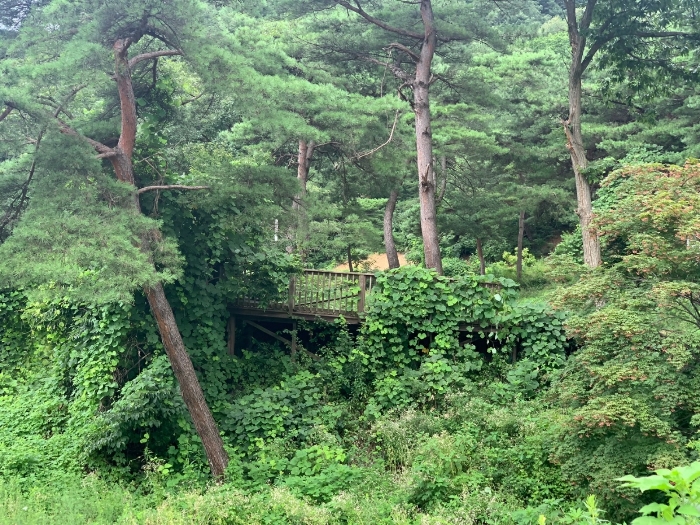 물건 사진 70
