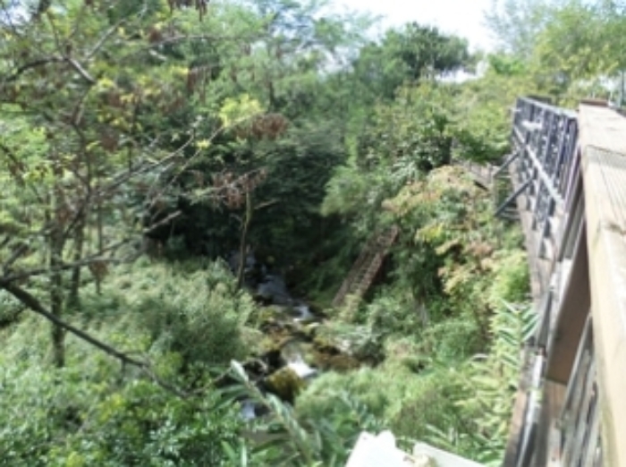 물건 사진 14