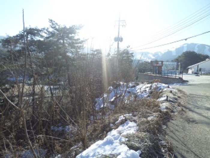 물건 사진 42