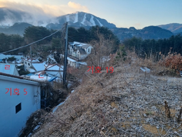 물건 사진 61