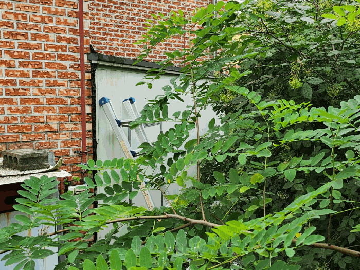 물건 사진 15