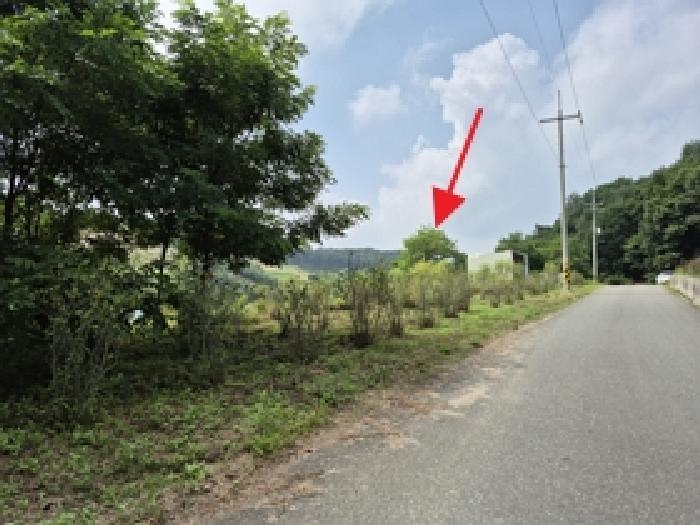 물건 사진 12