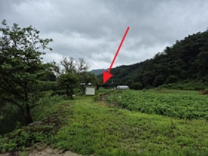 물건 사진 16