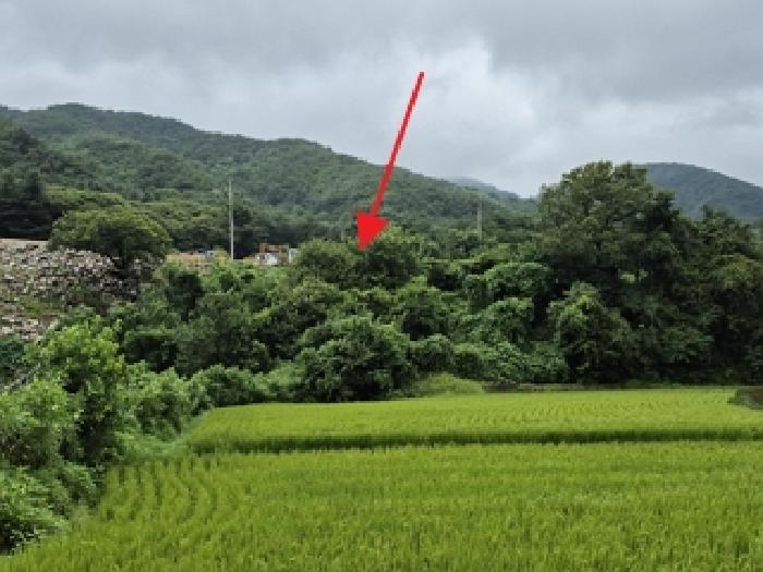 물건 사진 20