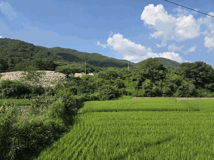 물건 사진 39