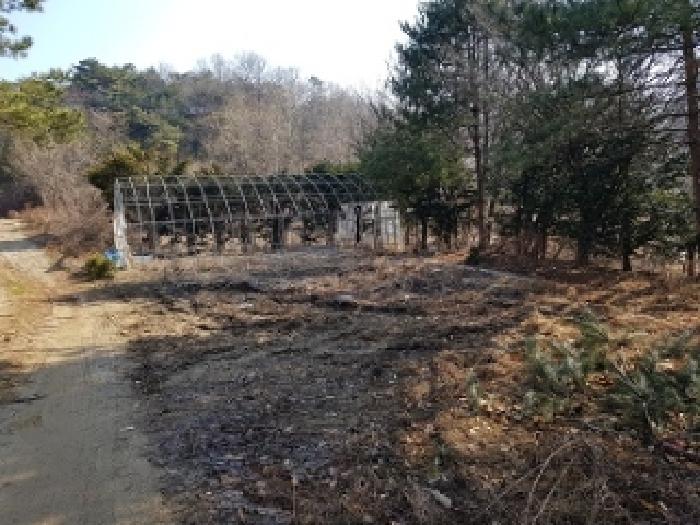 물건 사진 5