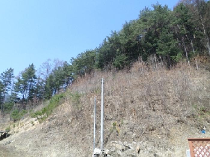 물건 사진 5