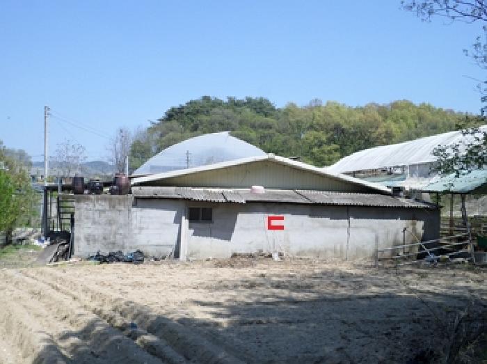 물건 사진 8