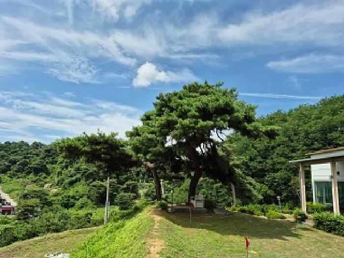 물건 사진 21