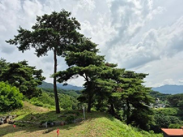 물건 사진 22