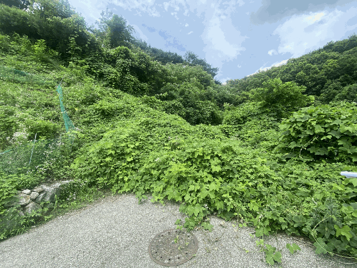 물건 사진 40