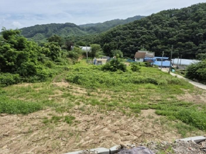 물건 사진 5